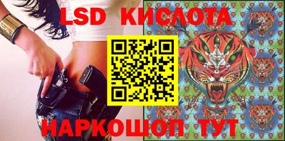 прущие грибы Тверь