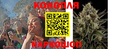 Альфа ПВП Ставрополь