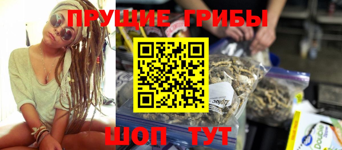 Псилоцибиновые грибы прущие грибы Мурманск